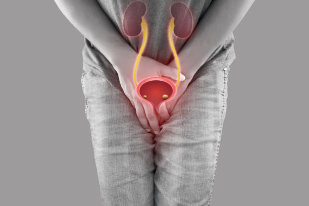 urinary stone specialist best urinary stone specialist in south mumbai